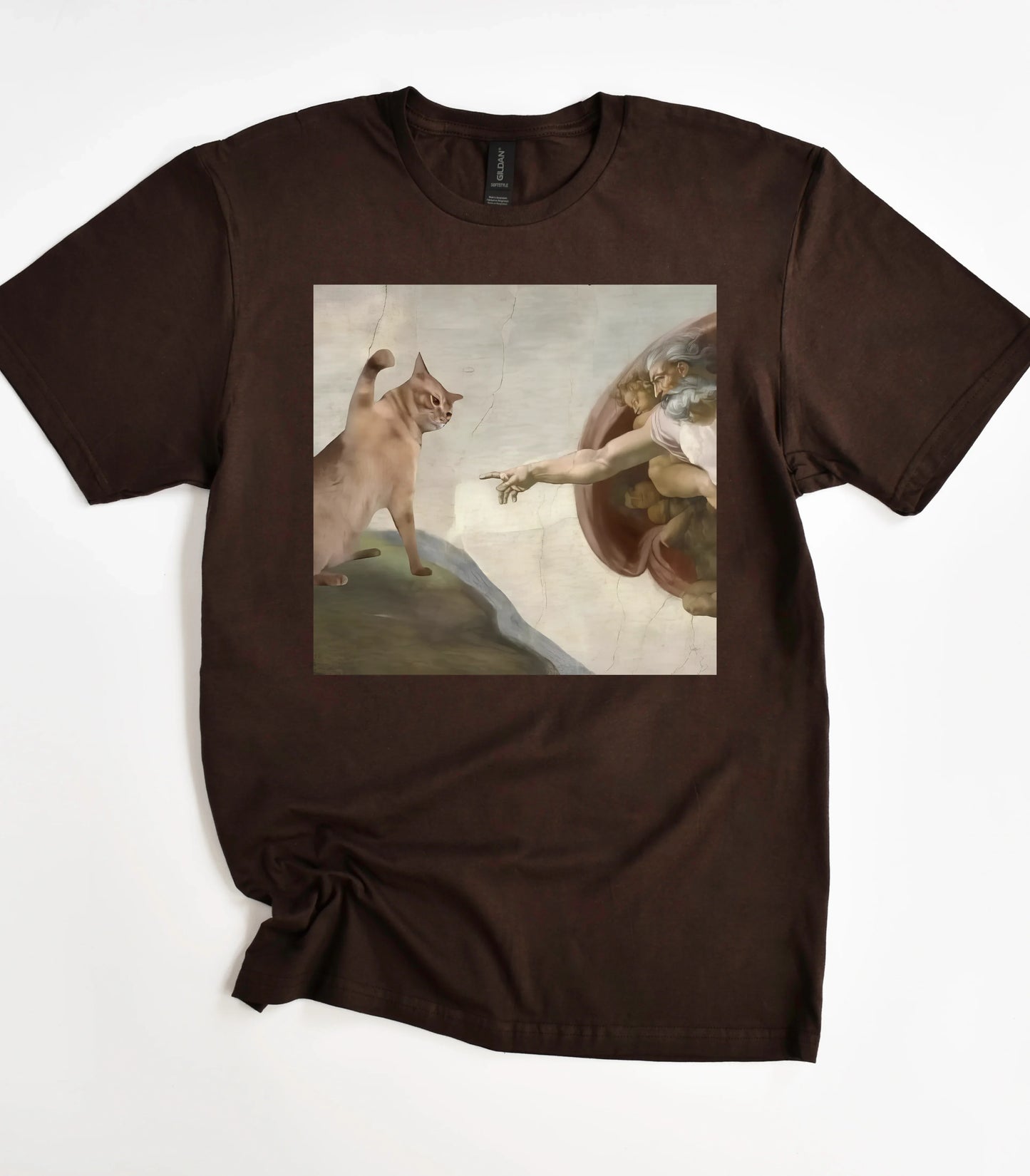 God Created Cats Funny T-Shirt