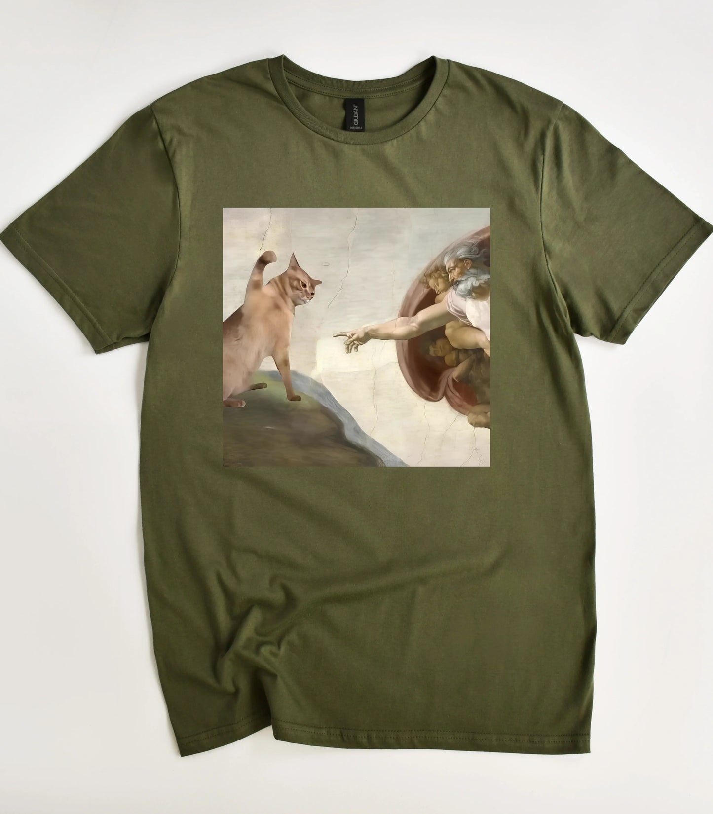 God Created Cats Funny T-Shirt