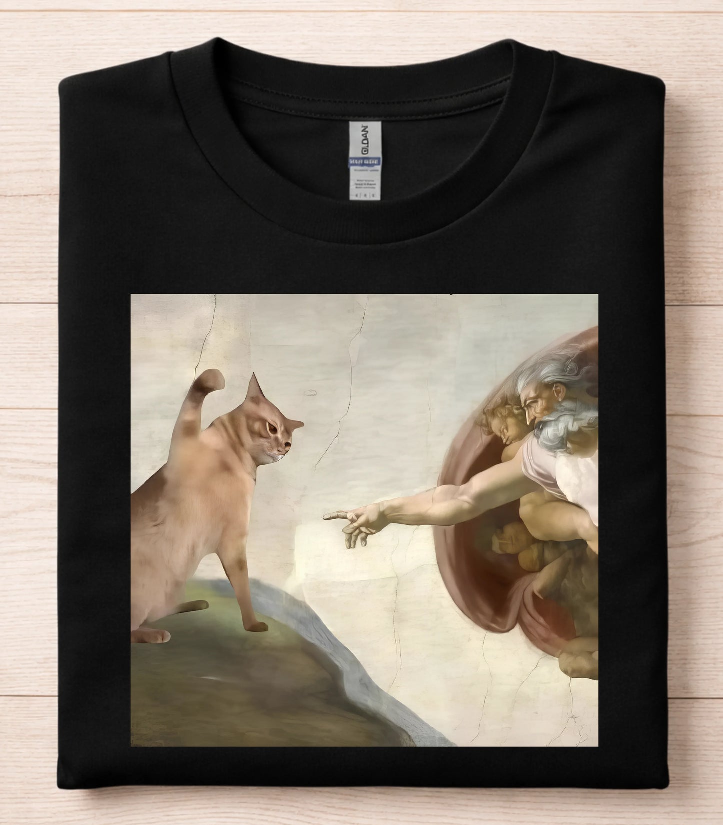 God Created Cats Funny T-Shirt