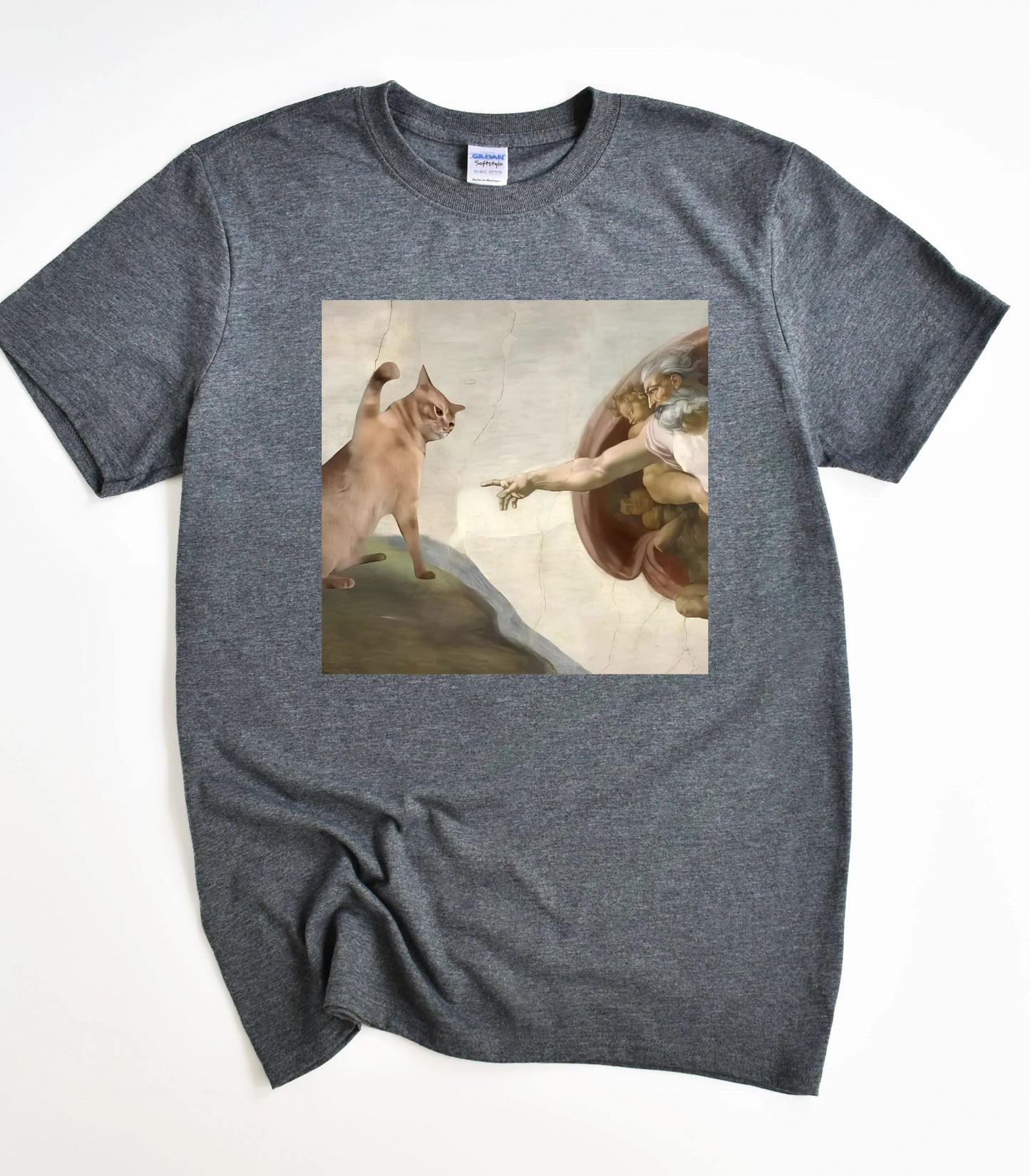God Created Cats Funny T-Shirt