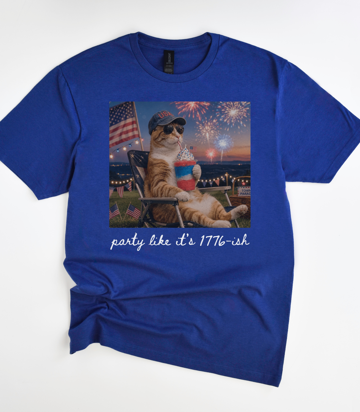 Funny Fourth Of July Cat T-Shirt