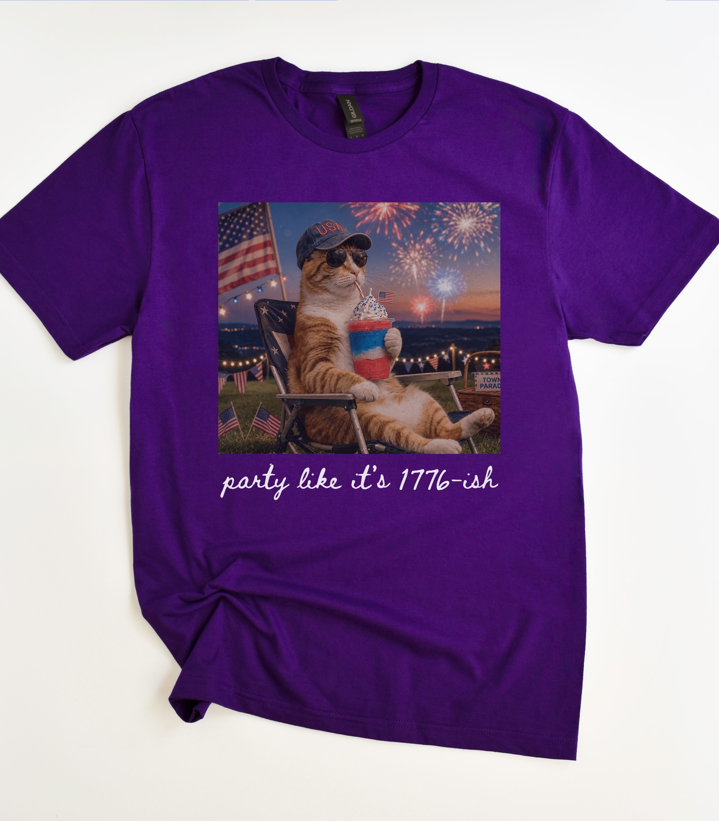 Funny Fourth Of July Cat T-Shirt