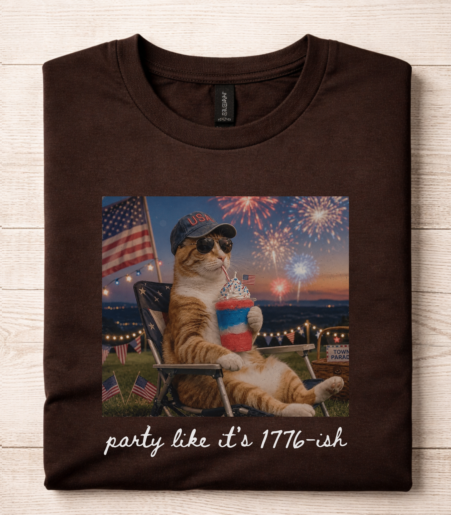 Funny Fourth Of July Cat T-Shirt